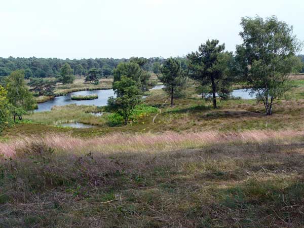 holtingerveld