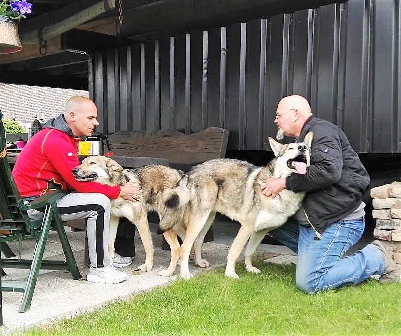 dekking Tova – Etu