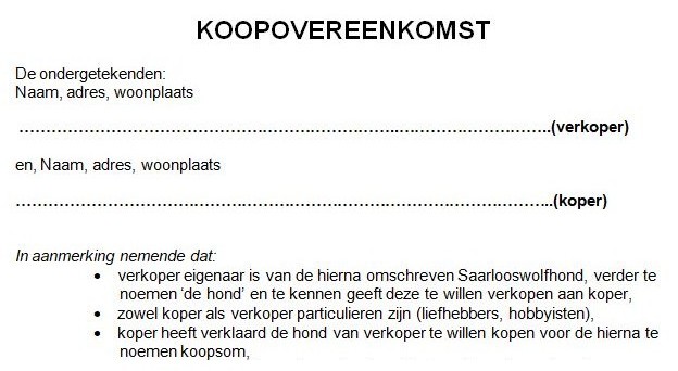 Koopovereenkomst Voorbeeld