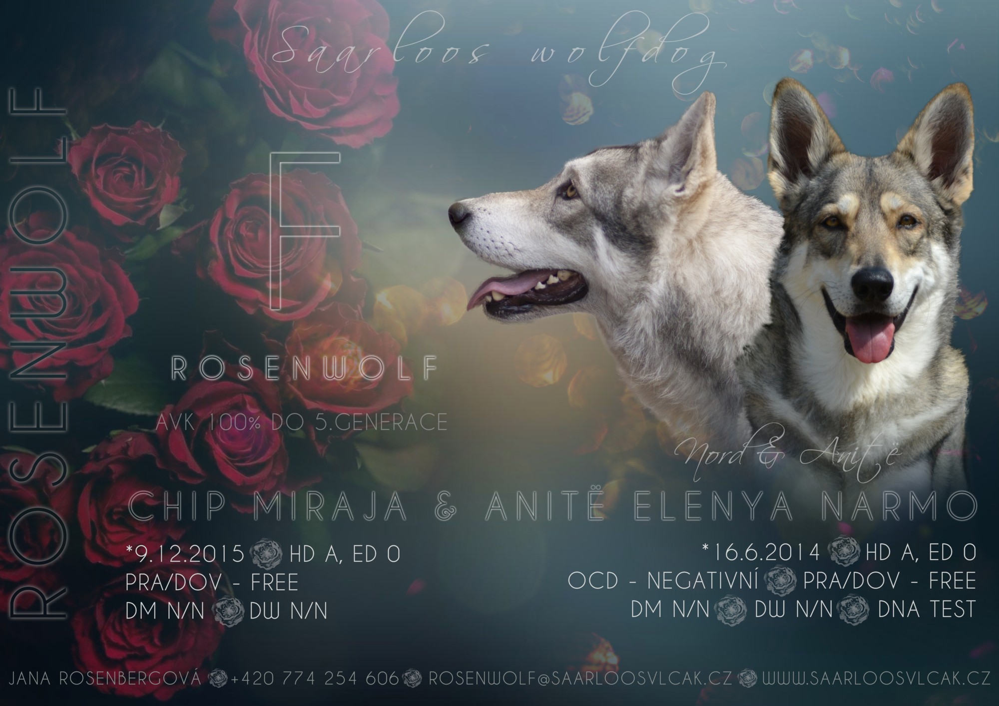 dekking Anit en Nord