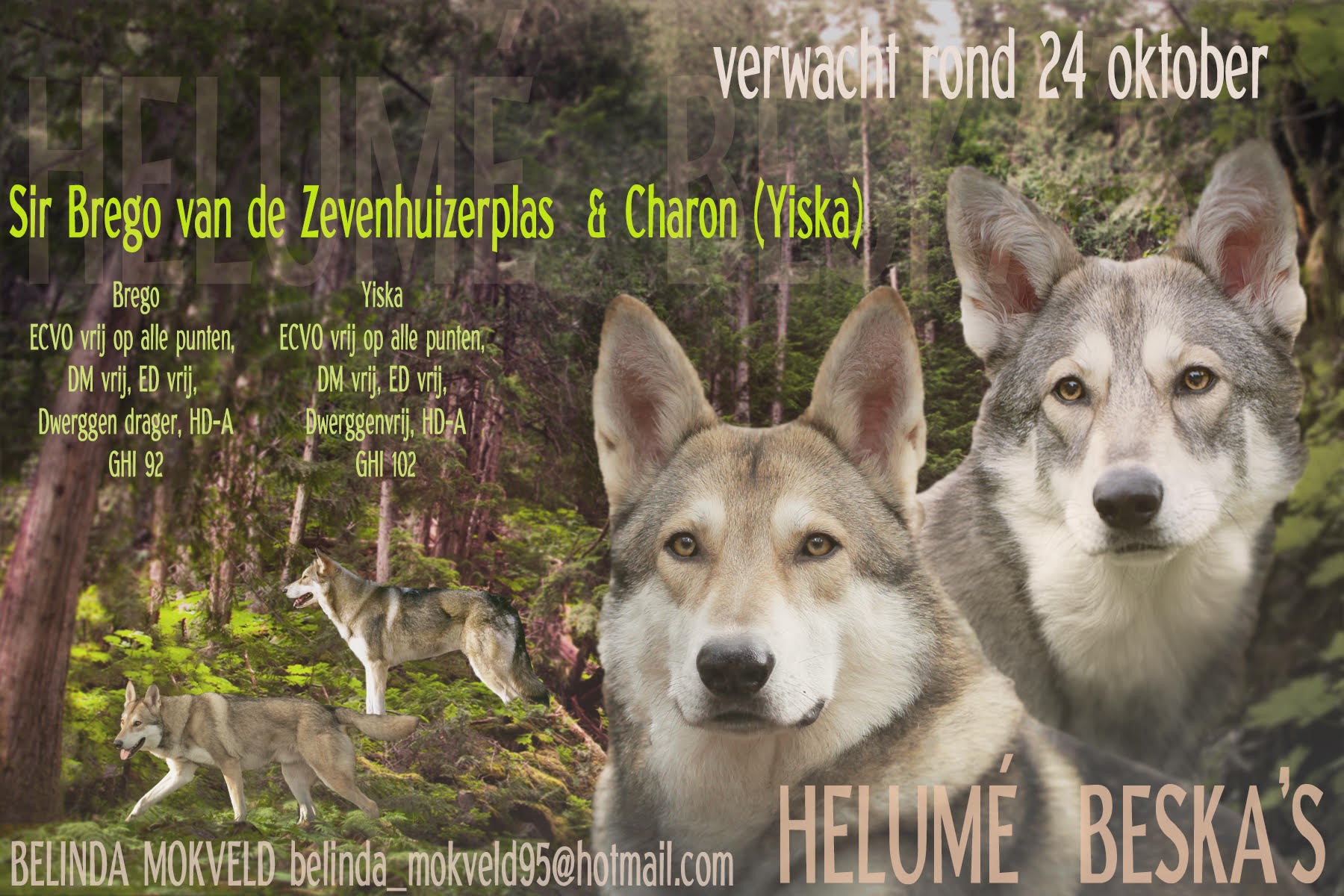 dekking Yiska en Brego