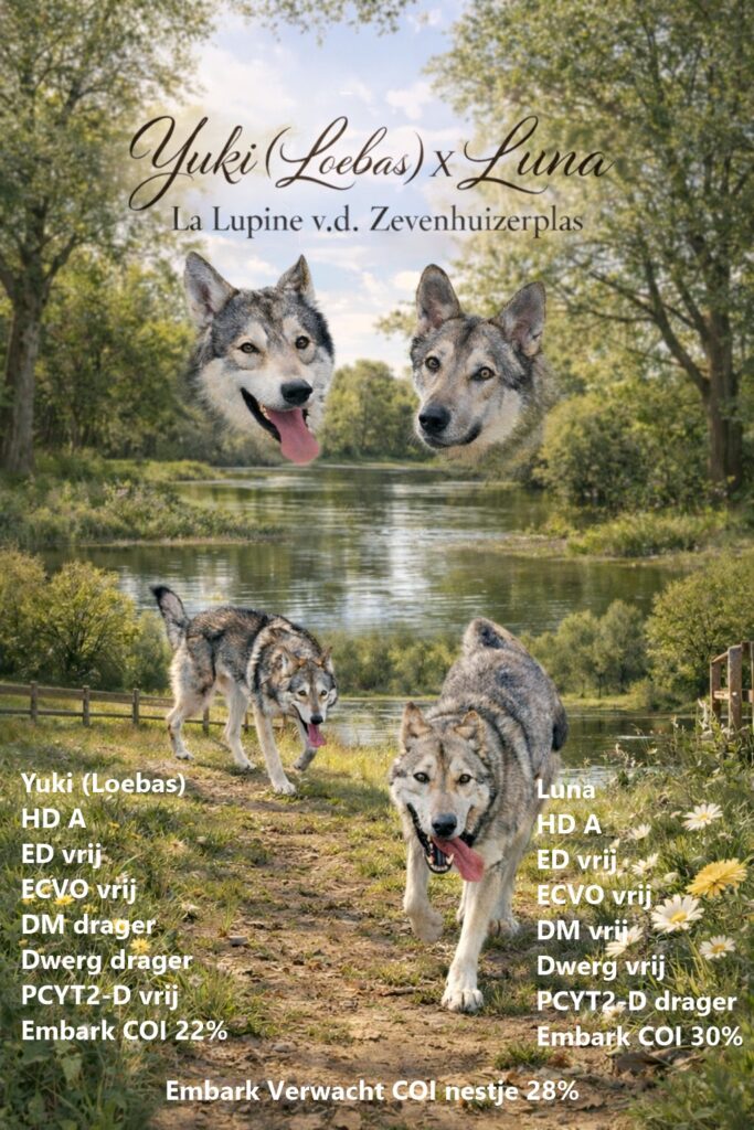 Yuki en Luna bij het meer met tekst